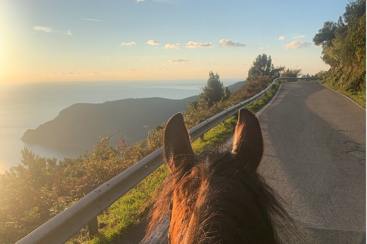 Horse ride on the coast of Monterosso al Mare Cinque Terre - Photo 1 of 8