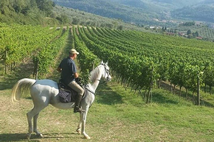 Horseback ride and Tuscan Lunch (or Dinner)  - Photo 1 of 12