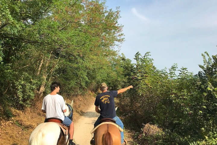 Horseback riding and wine tasting - Photo 1 of 6