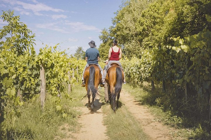 Horseback Riding Tour with Tuscan Picnic in Val d'Orcia and Valdichiana - Photo 1 of 4