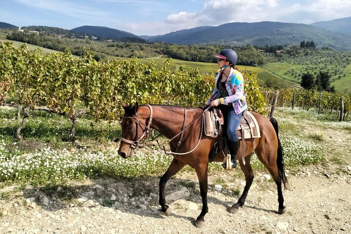 Horseback riding & Wine Tasting with Lunch at a Historic Estate - Photo 1 of 25