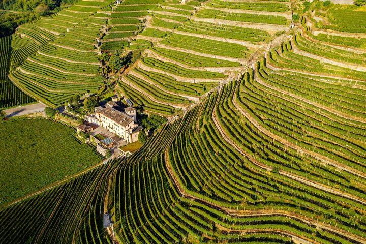 Lake Como & UNESCO Dry-stone Walls Vineyards - Photo 1 of 24