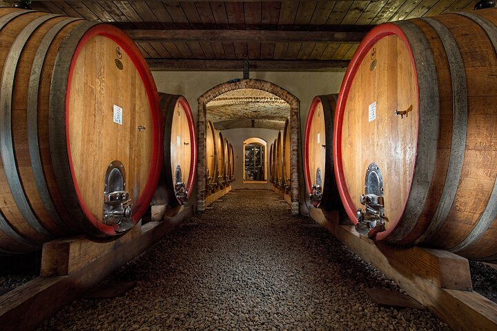 Langhe (Piedmont): Wine Tasting Experience  - Photo 1 of 10