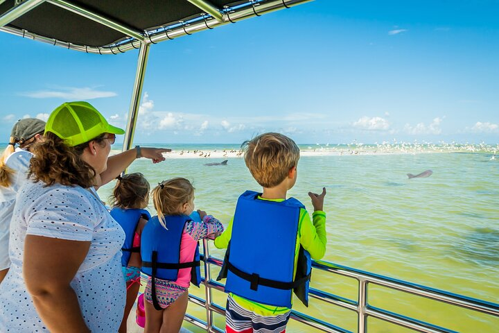 Marco Island Wildlife Sightseeing and Shelling Tour  - Photo 1 of 21