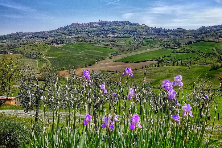 Montepulciano private guided tour - Photo 1 of 11