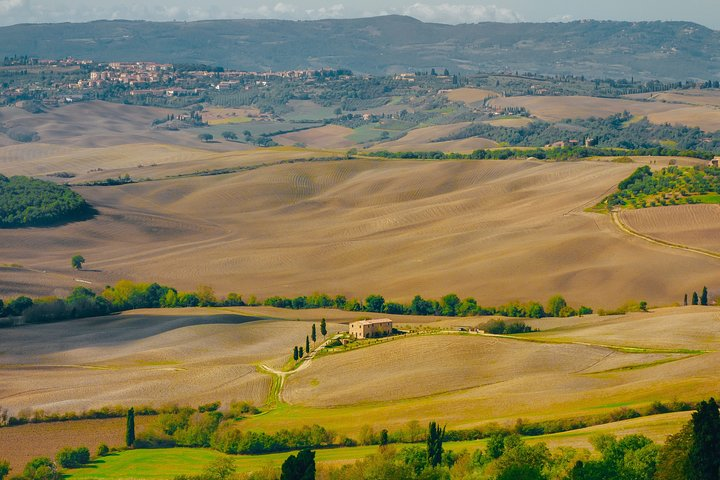 Montepulciano: Wine Tasting & Lunch in a typical winery - Photo 1 of 9