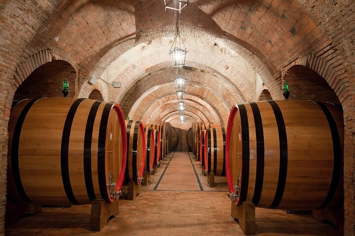 Montepulciano: Winery Tour & Tasting Experience - Photo 1 of 10