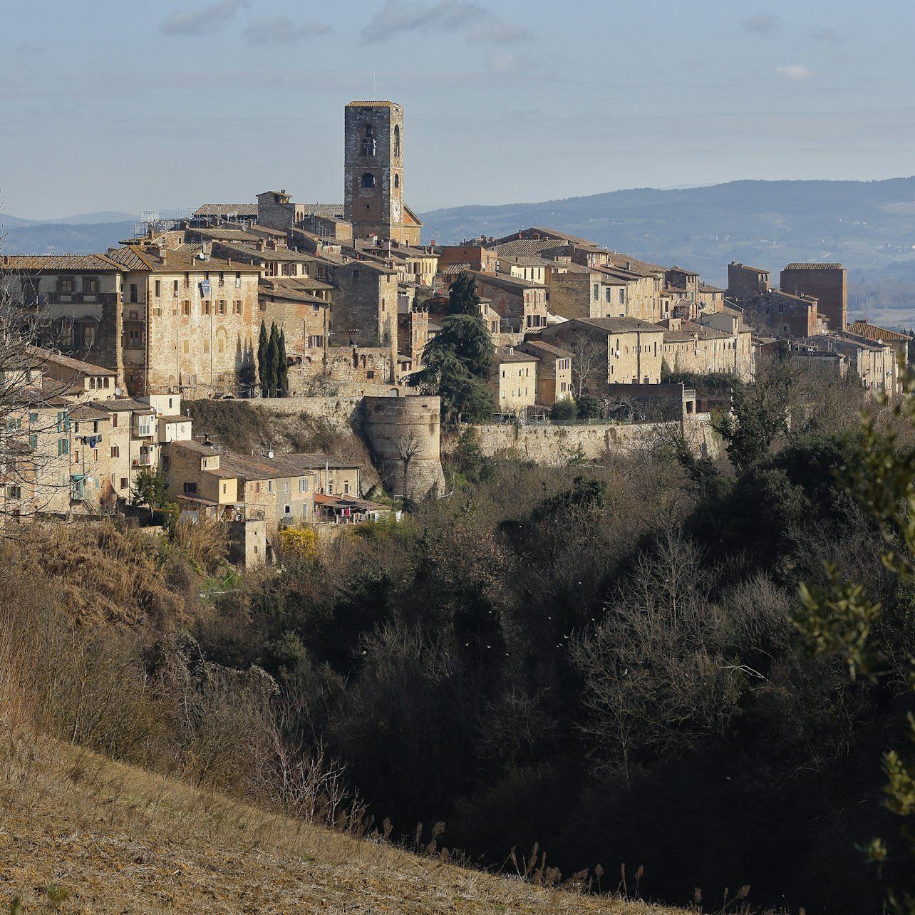 Museum of San Pietro in Colle Val d'Elsa - Photo 1 of 4