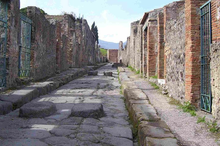 Naples Shore Excursion: Pompeii Half-day Trip from Naples