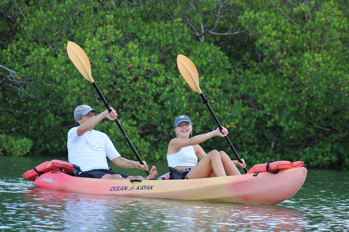 Nauti Exposures - Guided kayak tour through the Mangroves  - Photo 1 of 13