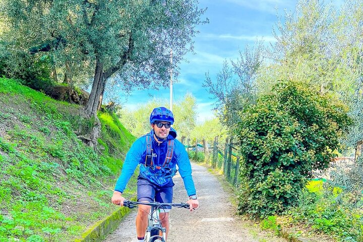 Oil and Lemon - Sorrento e-Bike Tour Experience - Photo 1 of 16