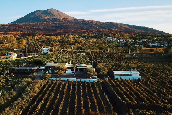 Organic Wine Tasting & Lunch on Vesuvius with Transfer from Pompeii - Photo 1 of 11