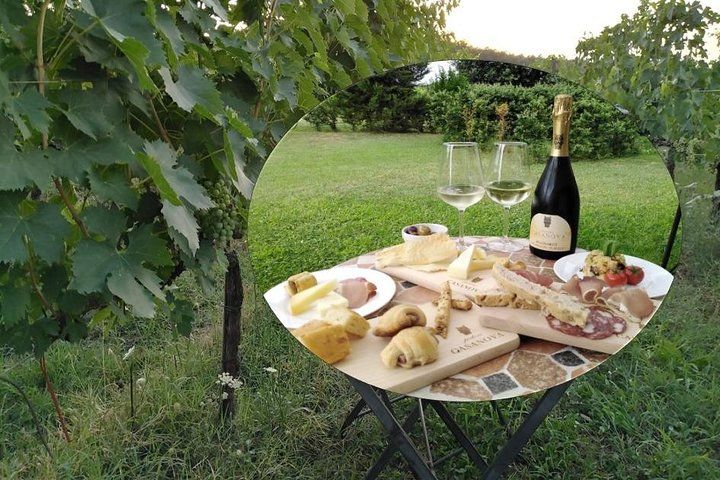 Pic Nic in the vineyard of PODERE CASANOVA - Photo 1 of 3