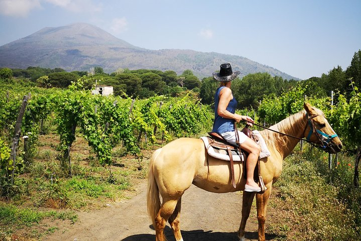 Pompeii, Horses & Wine - Photo 1 of 15