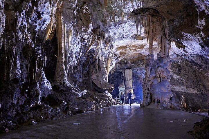 Postojna Cave and Castle Privat Tour From Koper, Trieste, Piran - Photo 1 of 10