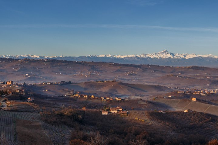 Private Barolo / Barbaresco - Piedmont Wine Tours and Tastings  - Photo 1 of 15