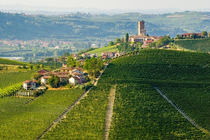 Barbaresco among the vineyards