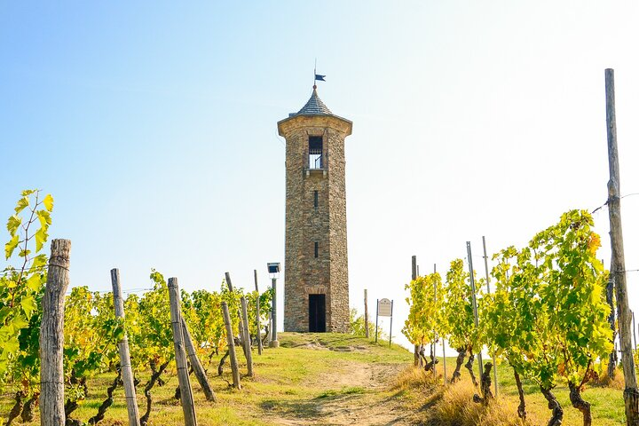 The Contini Tower