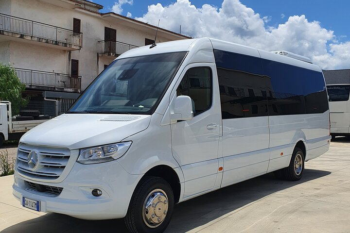 Pompeii shuttle service go and return