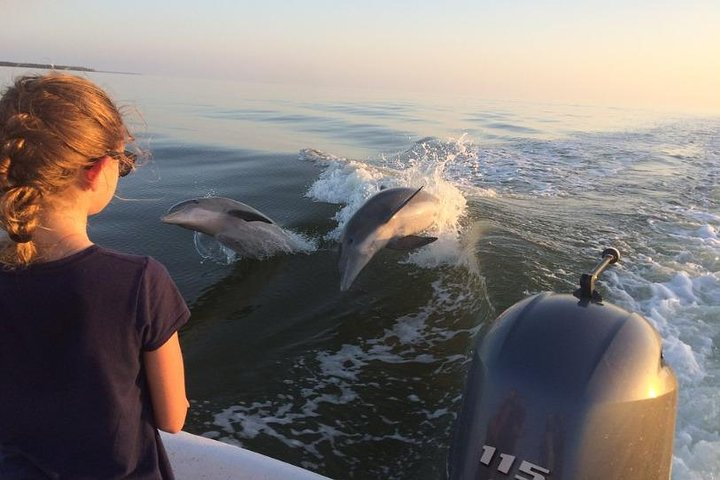 Small Group Motorboat Eco Tour of the Everglades - Photo 1 of 11