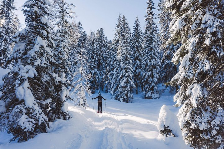 Snowshoeing in Cortina d'Ampezzo - Photo 1 of 7