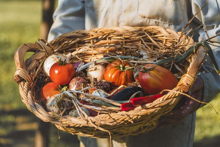 Special vegan cooking class in Tuscany: discover the flavours of Valdichiana Senese - Photo 1 of 3