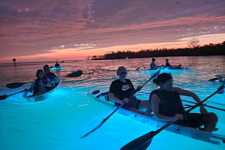 Sunset and Glow Clear Kayak Tour in North Naples - Photo 1 of 8