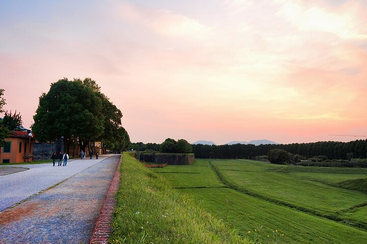 Sweet and salty Lucca by E-bike - Photo 1 of 8