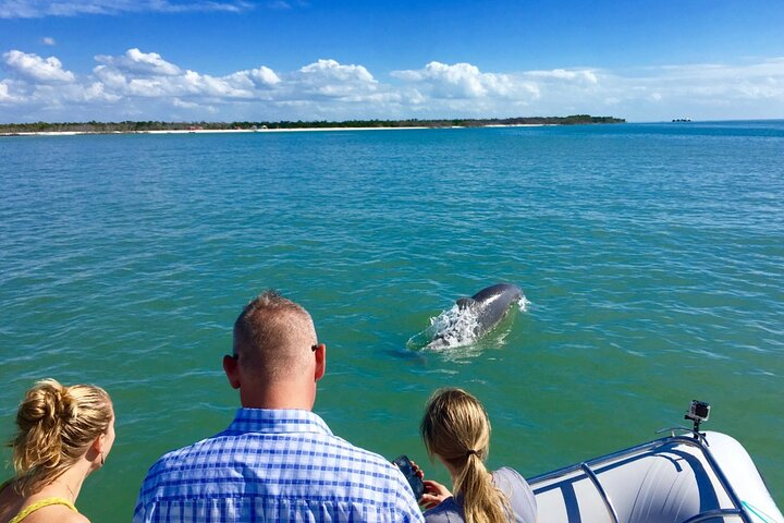 Ten Thousand Islands Boat Tour up to 12 people - Photo 1 of 8