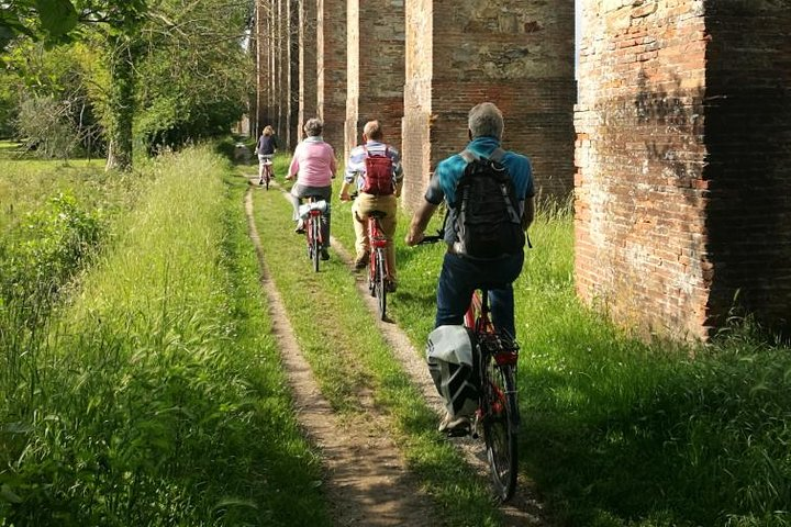 Bike in a green path.