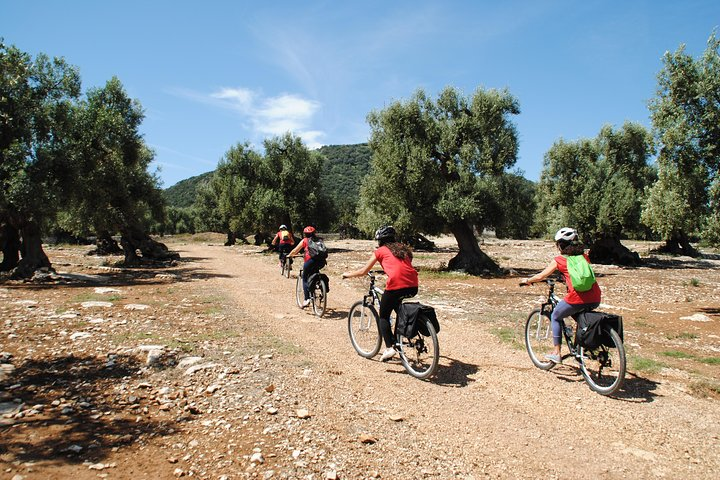 The Millennials bike tour - Photo 1 of 12