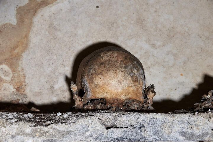 The Mystery of Naples Saga: The Skull with ears - Photo 1 of 7