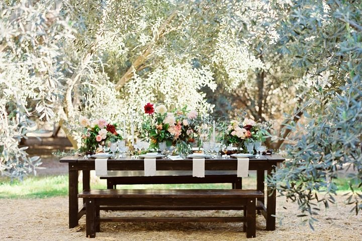 Think of a romantic meal in the Olive Trees shade, accompanied by Tuscan wines! - Photo 1 of 8