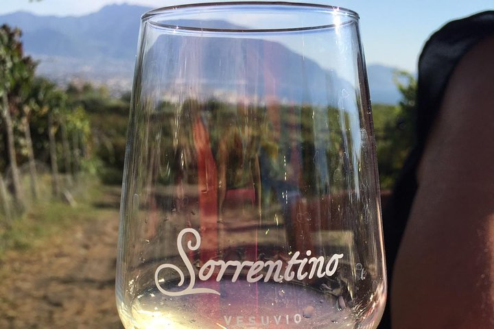 Transfer from Sorrento to Naples with wine tasting (1-8 PAX) - Photo 1 of 10