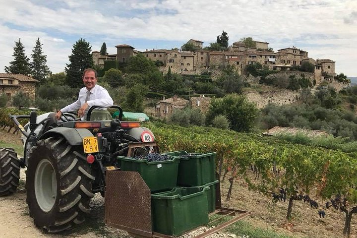 Preparing for the grape harvest!