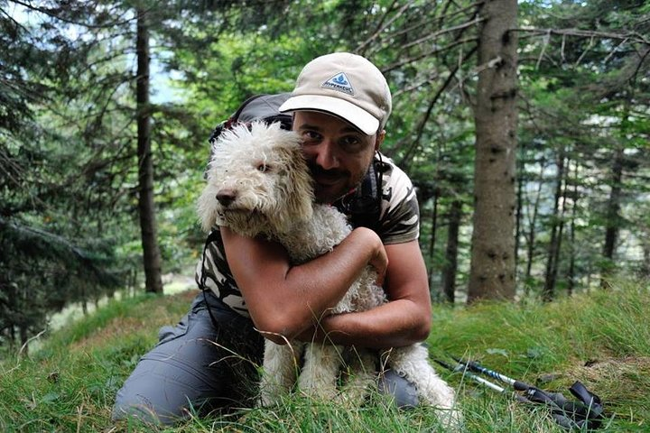 Truffle hunting and lunch experience in a restaurant - Photo 1 of 4