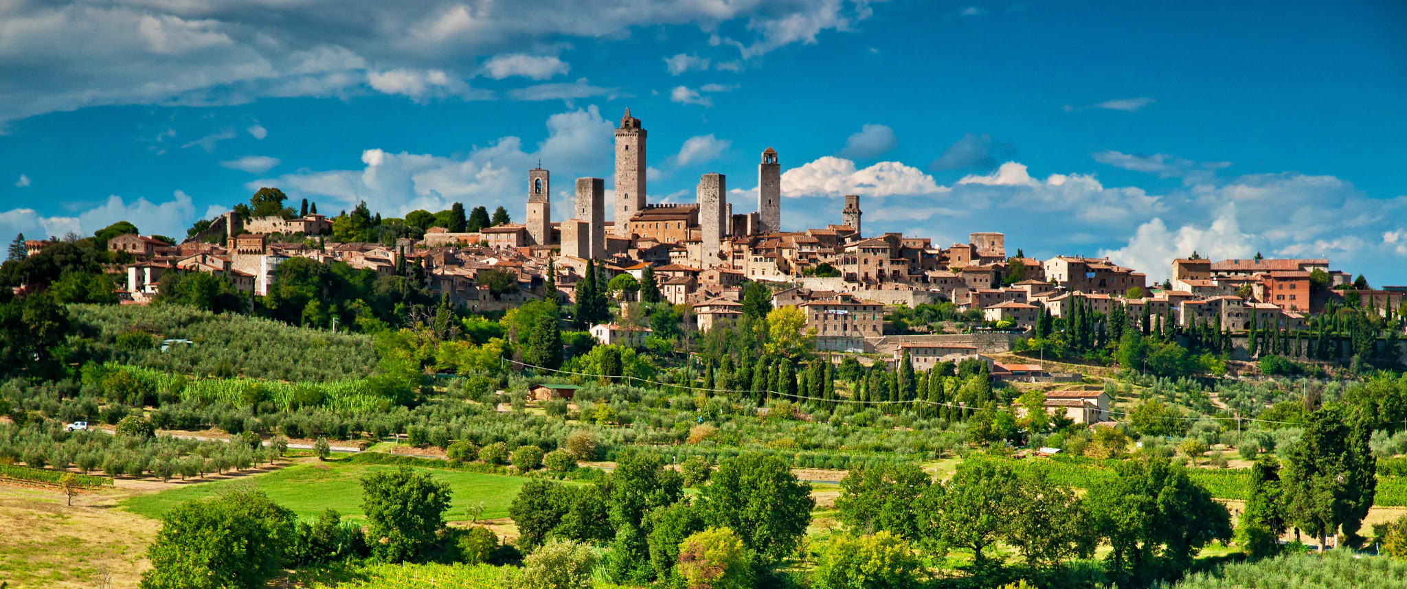 Tuscany Full-Day Tour from Florence: Pisa, Chianti, San Gimignano, Siena - Photo 1 of 19