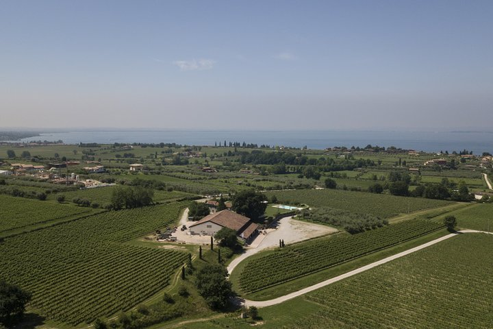 Visit and wine tasting at Tenuta La Cà - Photo 1 of 14