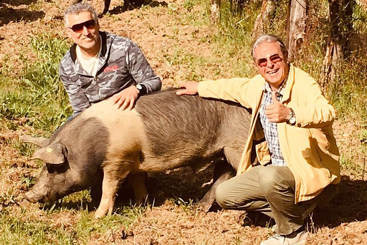 Visit to the Cinta Senese farm in Montepulciano - Photo 1 of 16