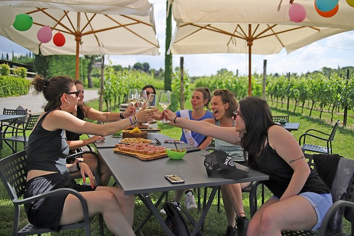 Wine and Food Tasting in the Vineyards in Lazise - Photo 1 of 13