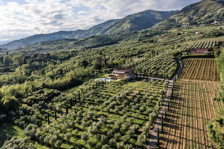  Wine and olive oil tasting & farm tour - Photo 1 of 10