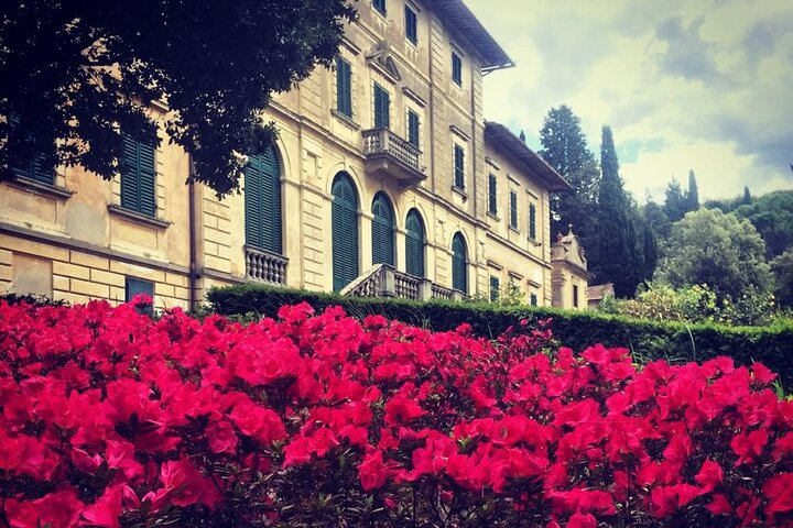 Wine Tasting Activity at Chianti Rufina - Photo 1 of 14