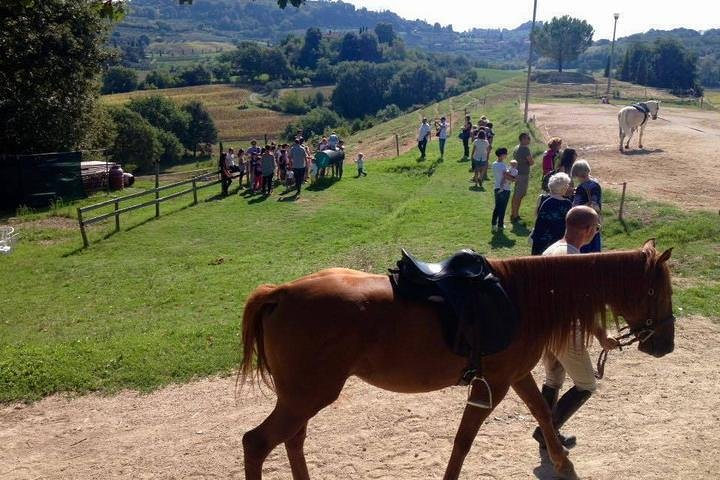 Wine tasting and horseback riding in Montepulciano, in Tuscany from Rome - Photo 1 of 10