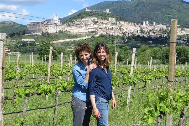 Wine tasting and walk in the Vineyard of Assisi - Photo 1 of 10