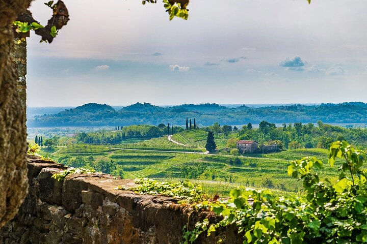 The Collio, the wine area par excellence