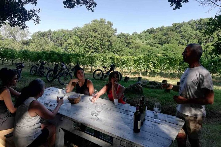 wine tasting in the vineyard