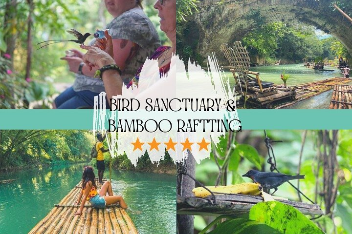 Bird Sanctuary and/or Lethe Bamboo Rafting from Montego Bay - Photo 1 of 18