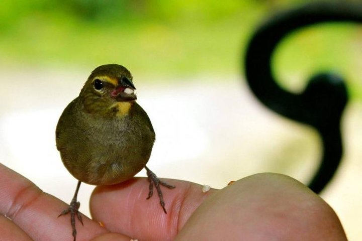 Bird Sanctuary (Montego Bay) Jamaica - Photo 1 of 2