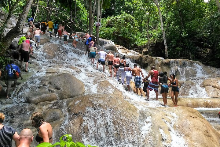 モンテゴベイ の Blue Hole, Secret Falls, and Dunn's River Falls Combo Day-Trip  from Montego Bay | Pelago