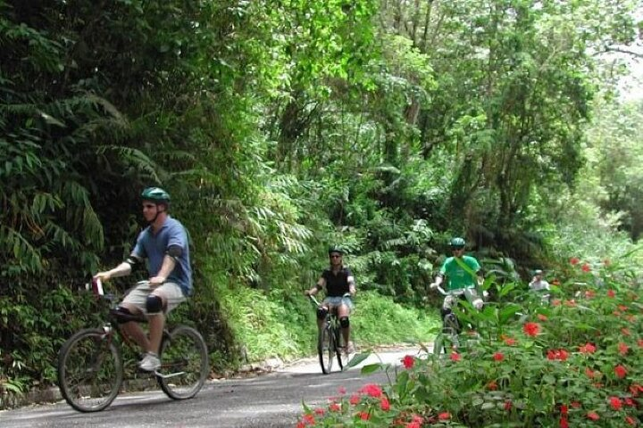 Blue Mountain Bicycle Hike & Bike Tour from Runaway Bay - Photo 1 of 3